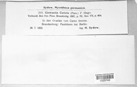 Anthracoidea caricis image